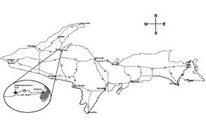 [img:15Map]